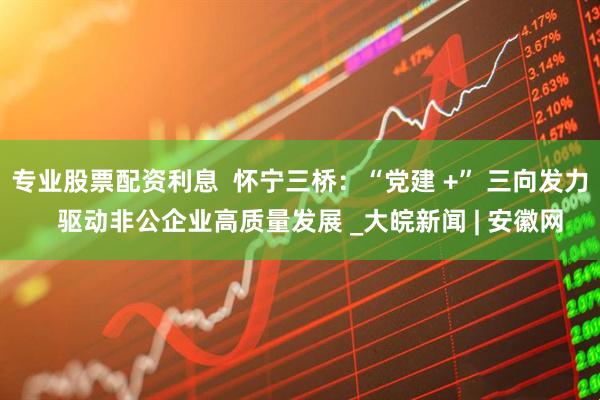 专业股票配资利息  怀宁三桥：“党建 +” 三向发力   驱动非公企业高质量发展 _大皖新闻 | 安徽网